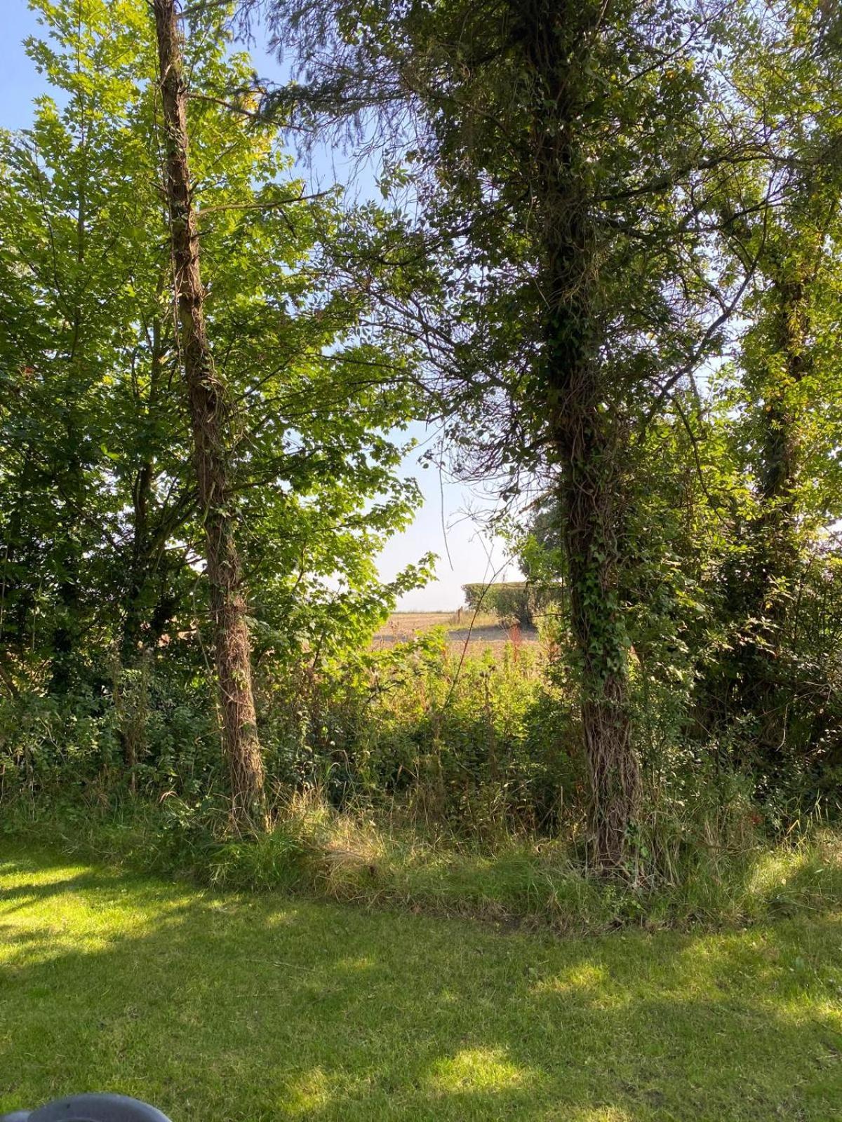 Kildare Countryside Pods Villa Exterior photo